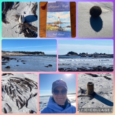 Learning Curves during Seasons of Self 